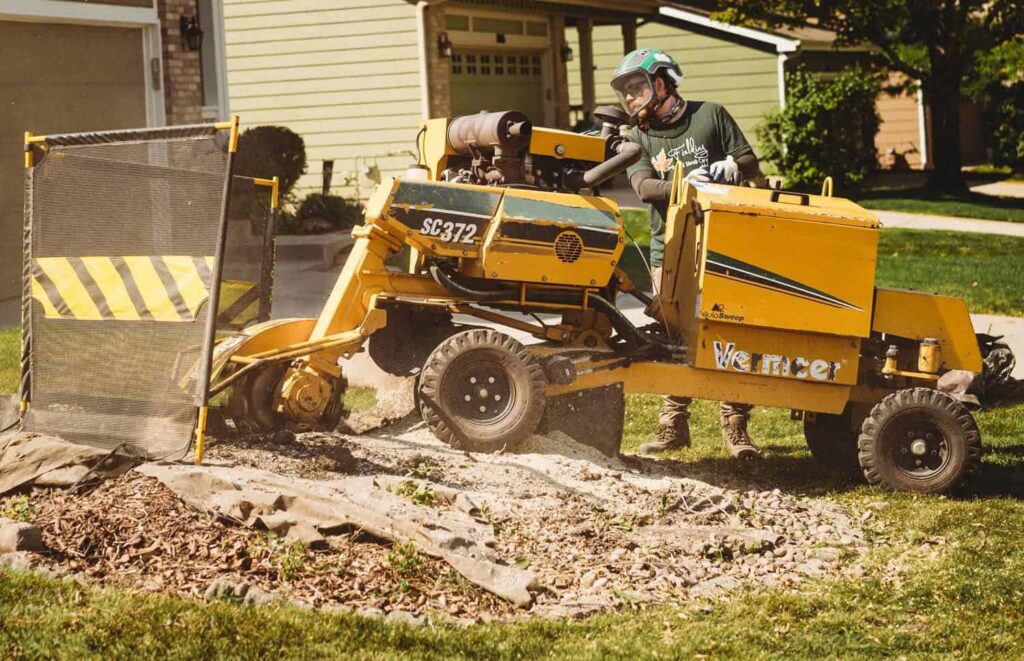 tree stump removal