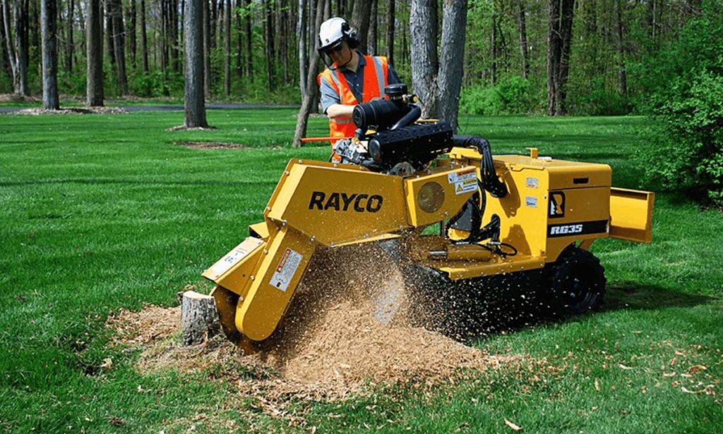 tree stump removal